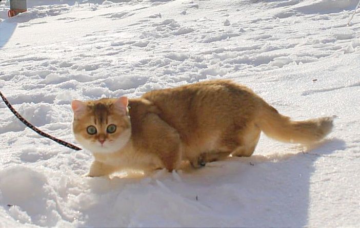 Шикарний хлопчик чекає найкращу маму