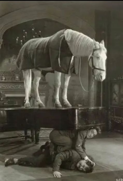 Настройка піаніно,роялів. Усі райони Києва, область.