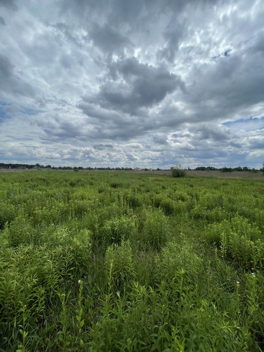 Без Комісіі Продам Ділянку Хотянівка 10 сот