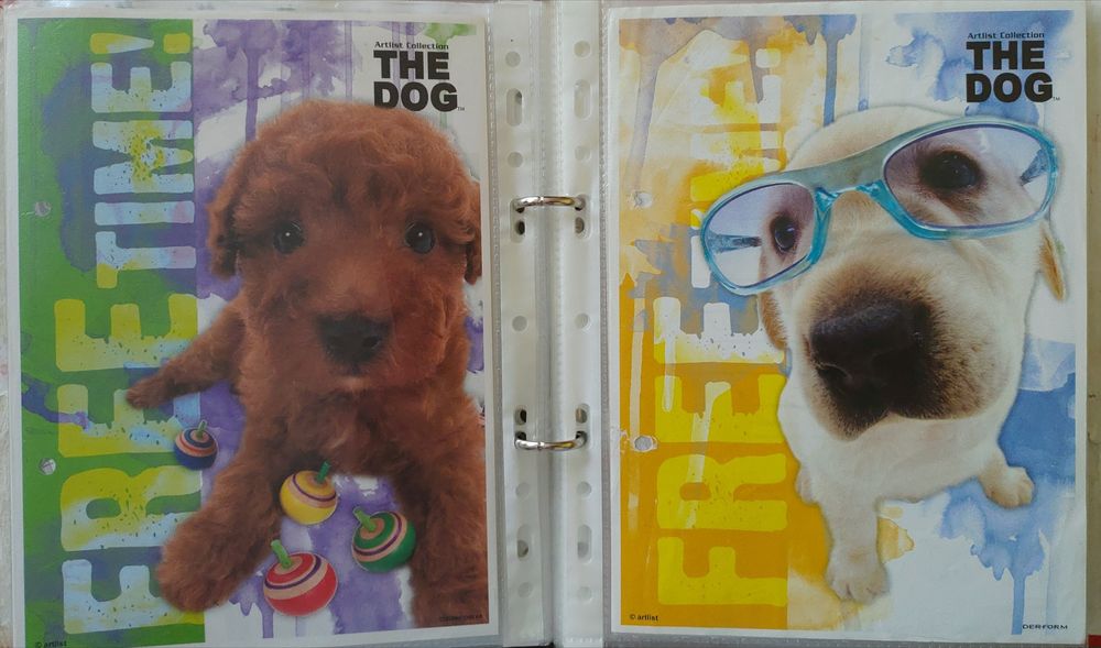 Karteczki do segregatora Zwierzęta