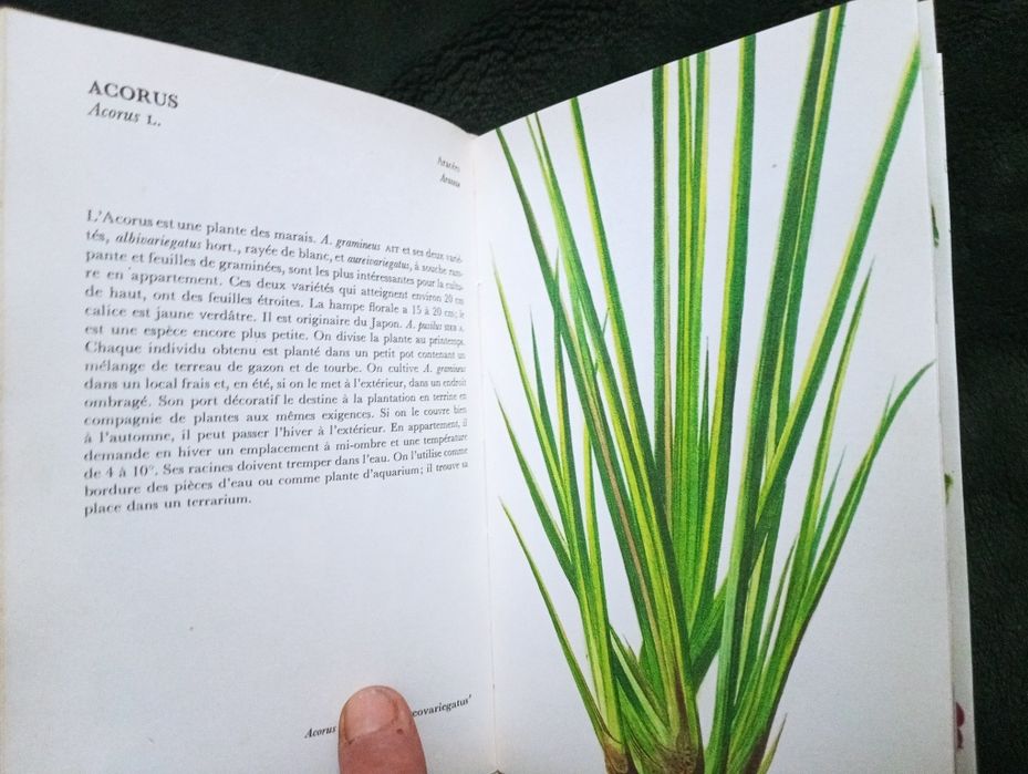 Plantes D' Appartement - Atlas Illustré de Jaroslav Oplt Relié	1976