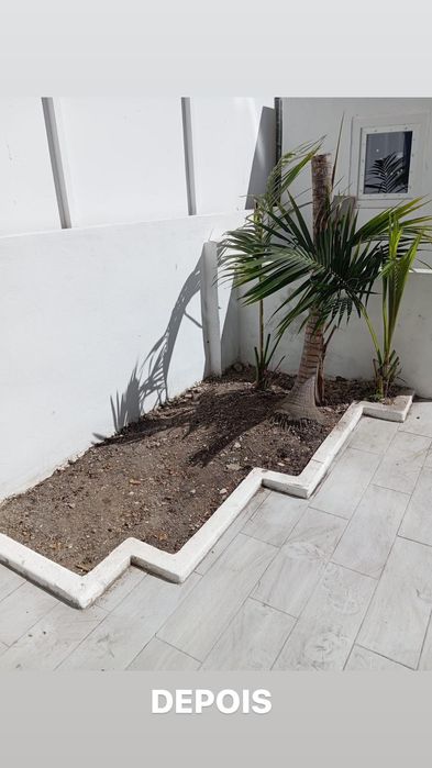 Serviço de Jardinagem