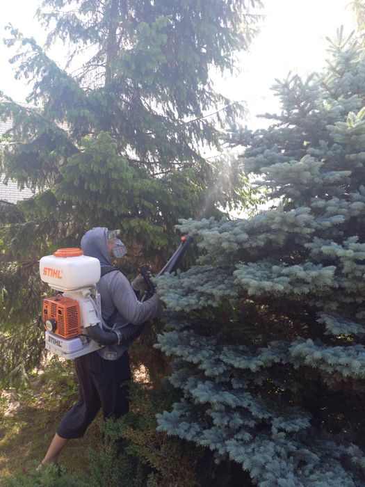 ОБРІЗКА, ОБРОБКА  плодового саду  Васильків, р-н