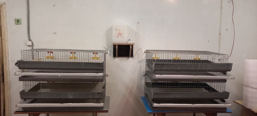 Продам клітку для перерілок