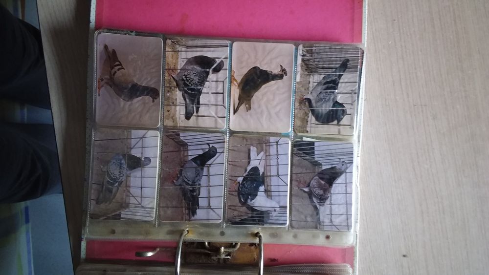 Calendários vintage  (variados) desde 1985