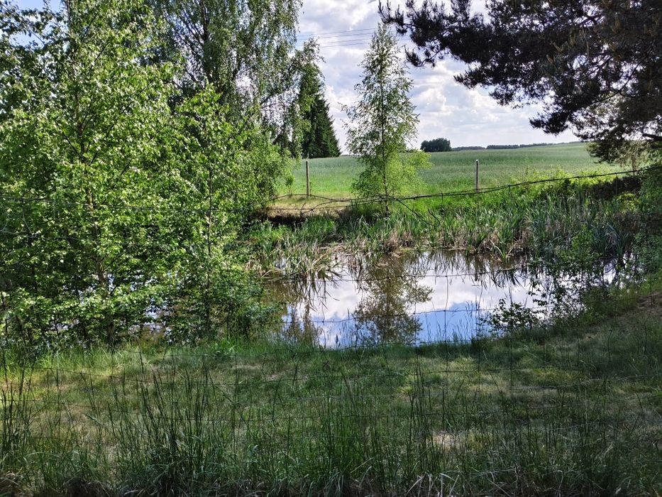 Domek letniskowy 10-osobowy Kaszuby