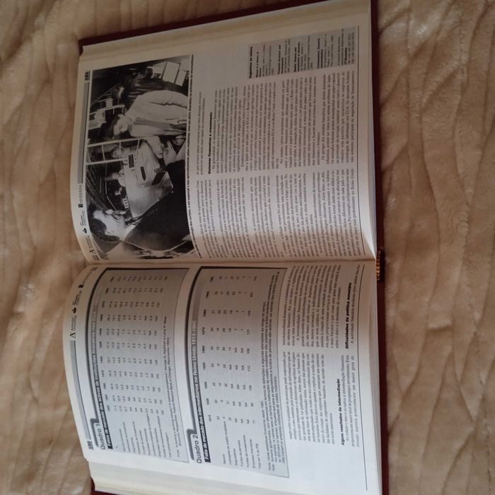 O Domínio da Finança