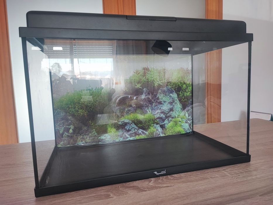 Aquário aqualantis 60L
