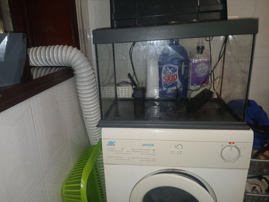 Aquário para peixes