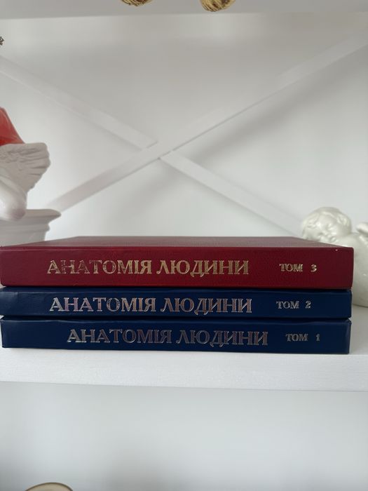 Анатомія Саладін