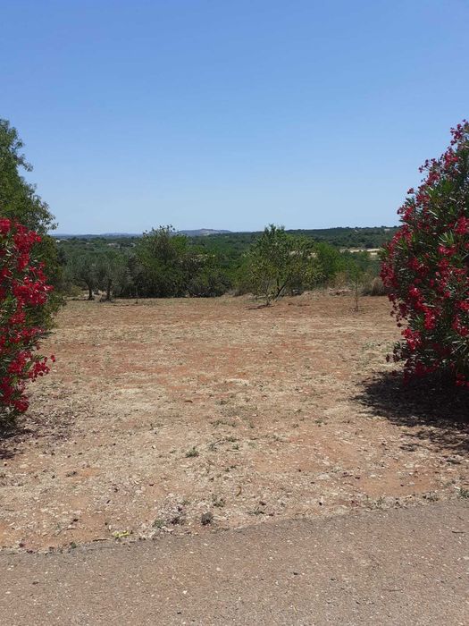 Limpeza de jardins, terrenos e afins