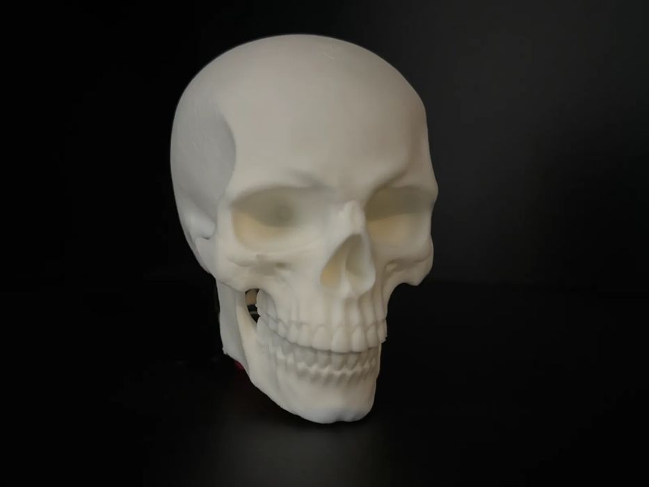 Crânio Humano Detalhado para Decoração ou Arte