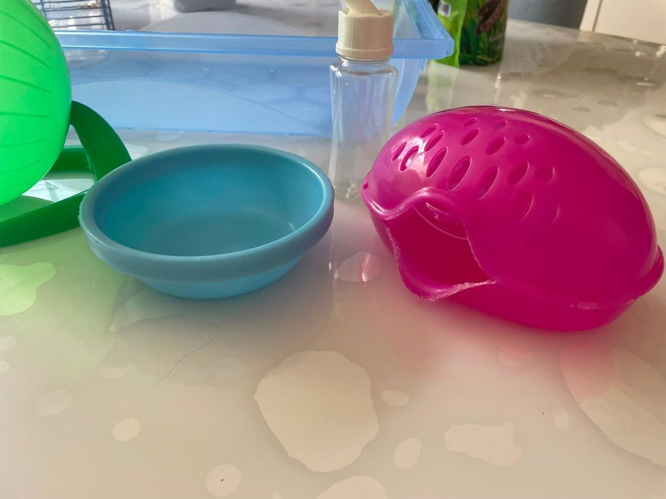 Kit completo para hamster – tudo o que precisas num só conjunto!