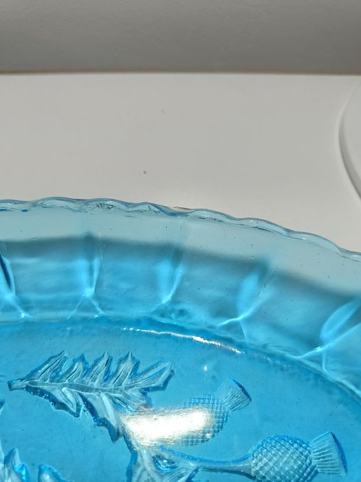 Śledziówka osty niebieska