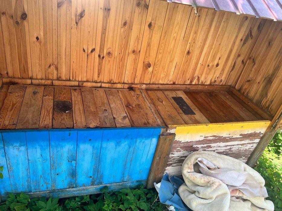 Апідомік\Апілежак сон на вулику