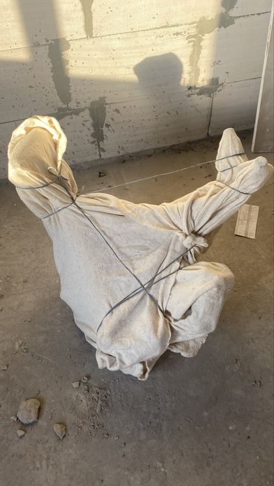 Рога оленя на підставці