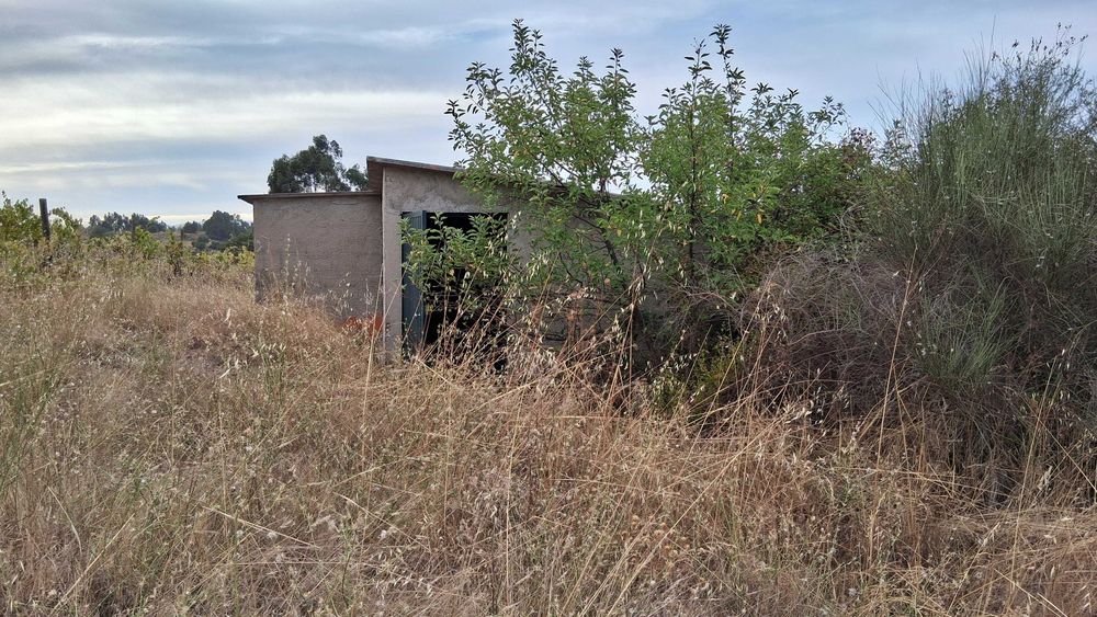 Terreno em São Miguel De Acha