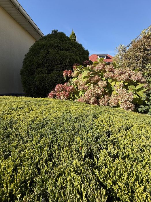 Дом по адресу (площадь 520 м²) - Atlanta.ua - фото 24