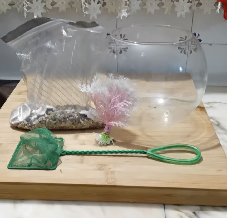 Aquário com acessorios