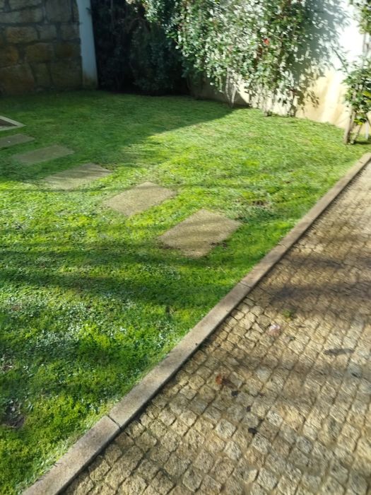 Manutenção e construção de jardins