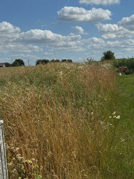 Budowlana 3094m²–Rezerwat Wiączyń, 1 km od granicy Łodzi, gotowe media