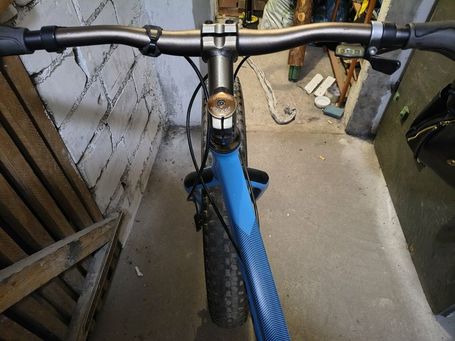 Rower Fatbike Big Sam