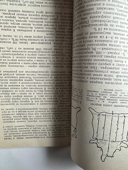 " Выделка овчин и меха "