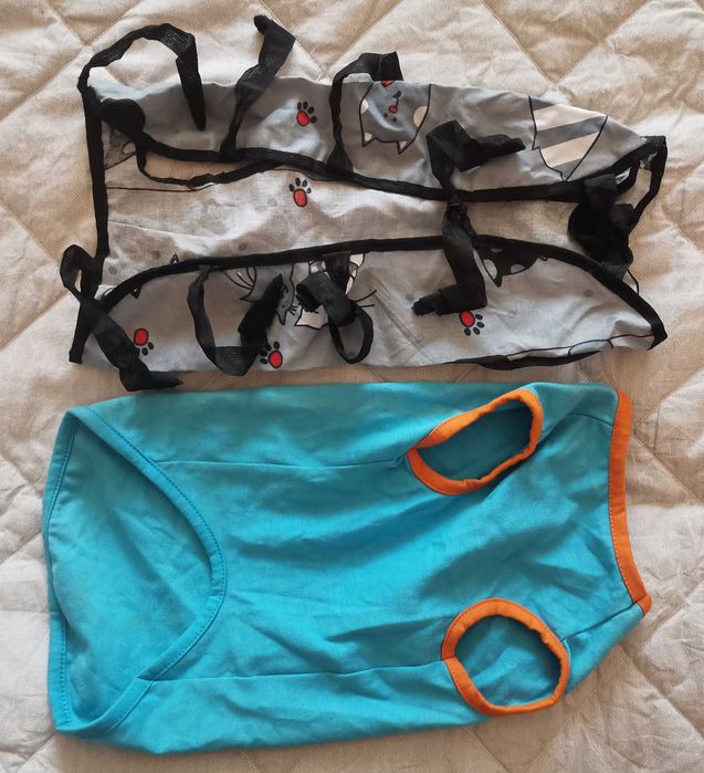 Речі для маленьких собак