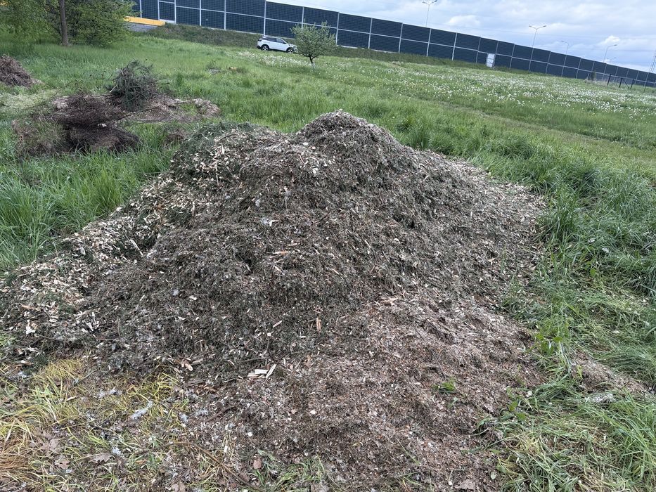 Zrębka oddam w zamian za uprzątnięcie