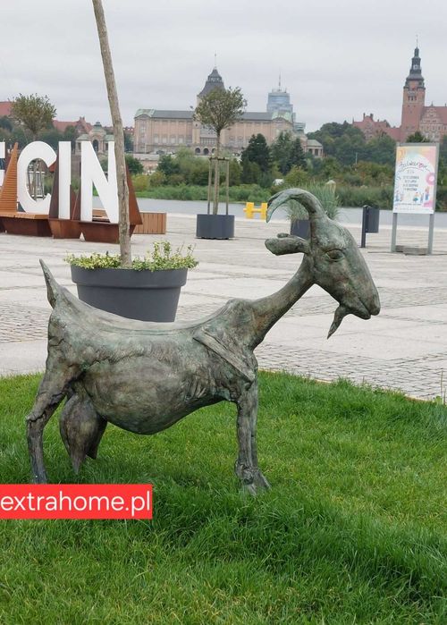 "Koza" replika Pabla Picassa 1:1 rzeźba z brązu