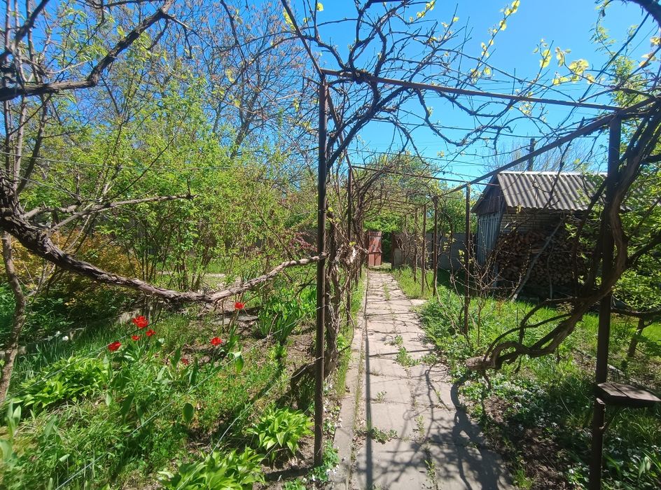 Продається земельна ділянка в с.Хлепча