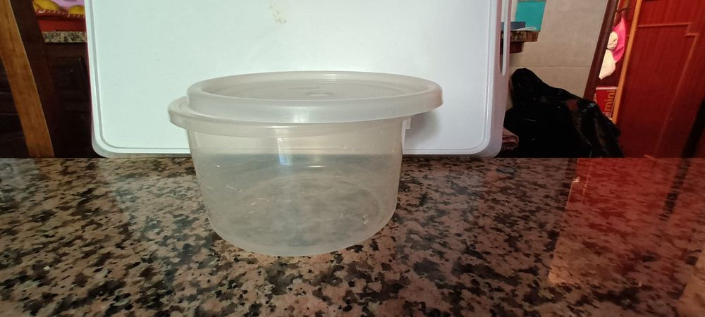 Tupperwares - codil