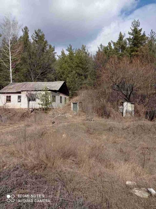 Продам дом у леса Чугуевский  район
