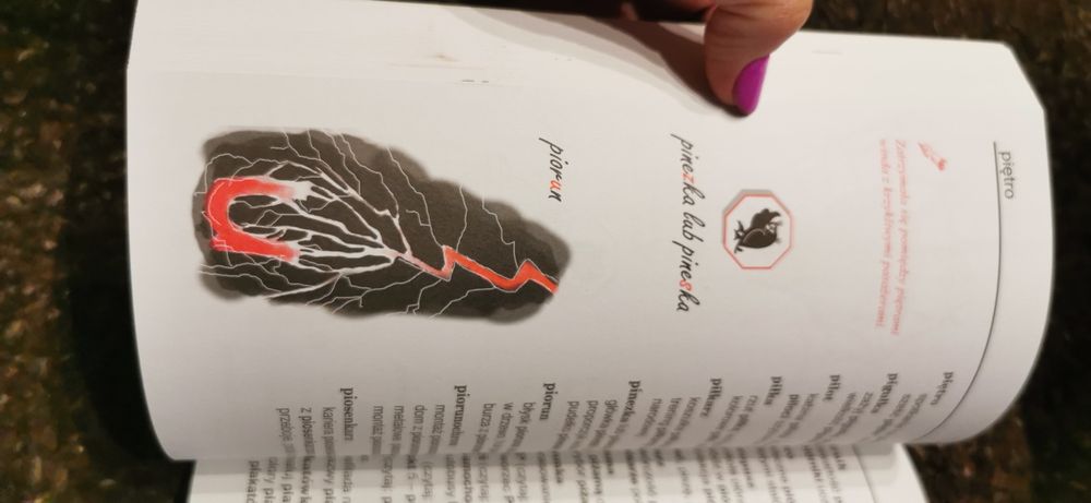 Ilustrowany słownik ortograficzny szkoła podstawowa