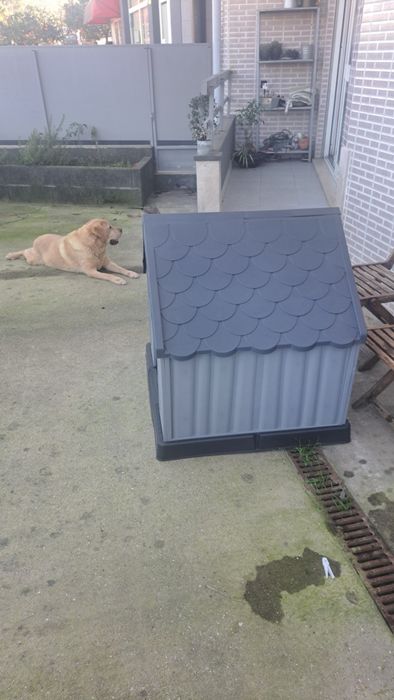 Casota de Cão de médio porte.