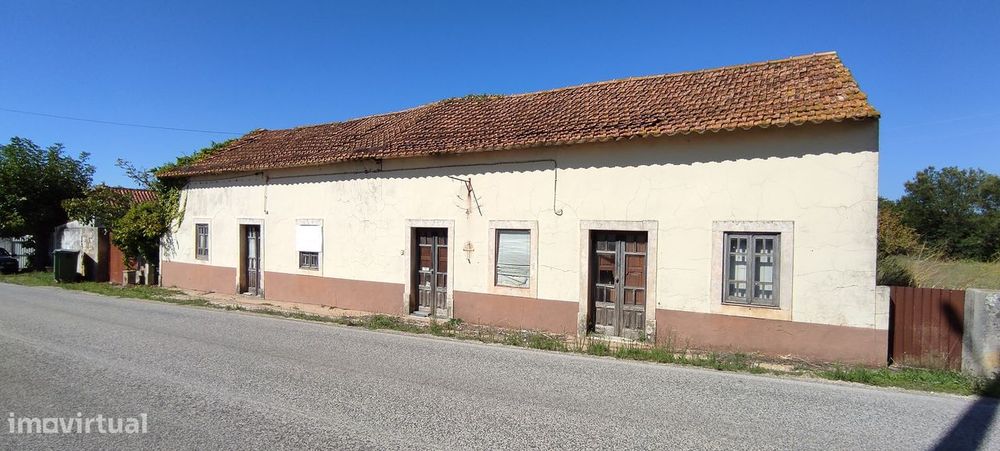 "Quintinha" de 5.100 m² na Moita Poço - Turquel