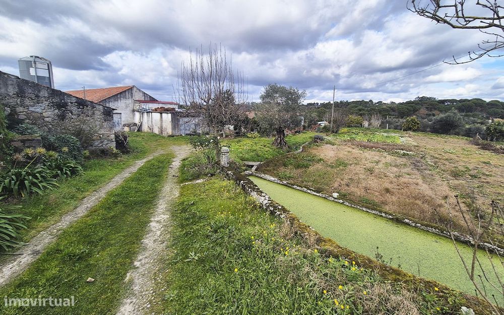Unique Opportunity: Farmhouse in Paranhos – Seia
