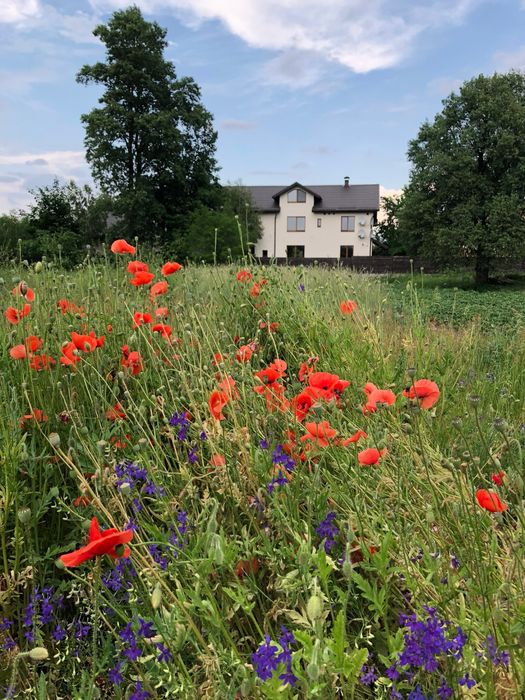Продається будинок на руслі Дніпра, 25 метрова берегова зона