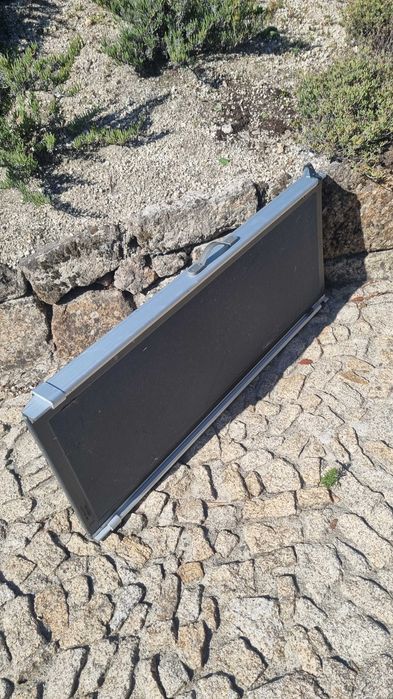 Rampa Petsafe extra longa para cães