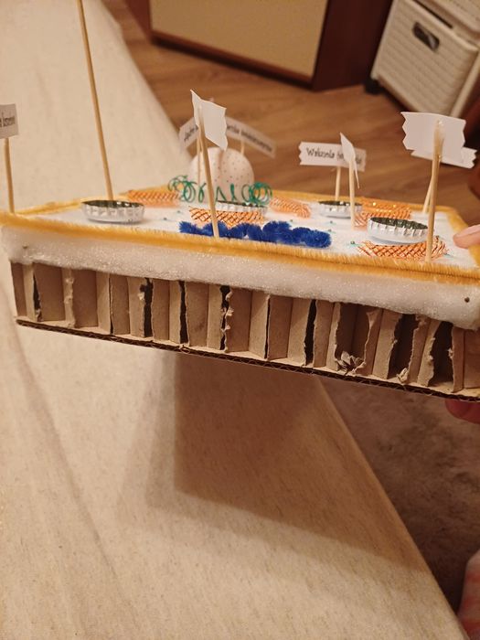Model komórki zwierzecej