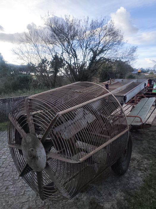 Máquina arrancar batatas