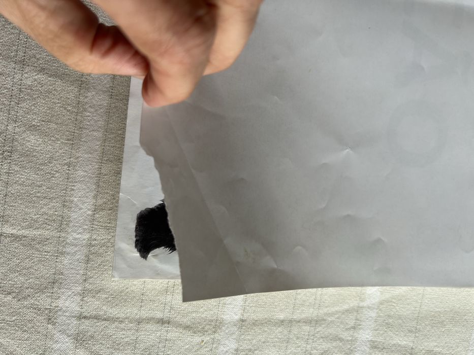 O grande livro do cão