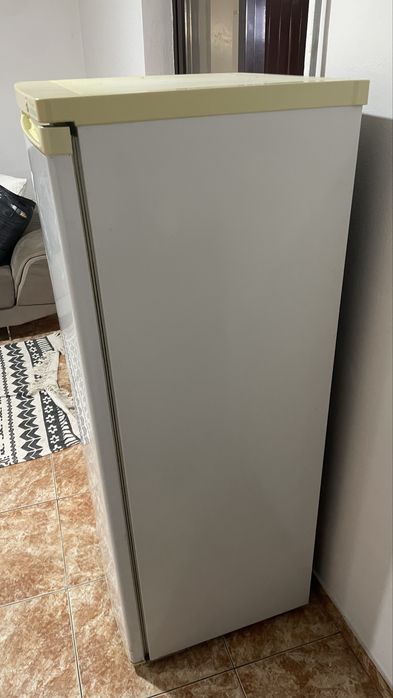 Arca congeladora vertical Jocel