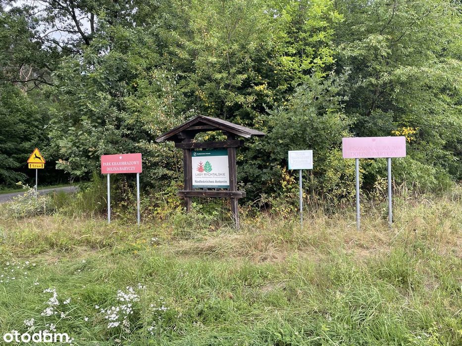 Działka budowlana z WZ | Cieszyn, gm. Sośnie | Dolina Baryczy - Widok 4