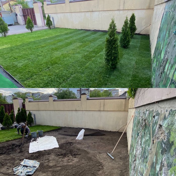 Рулонный/Посевной газон + Автополив + Обслуживание