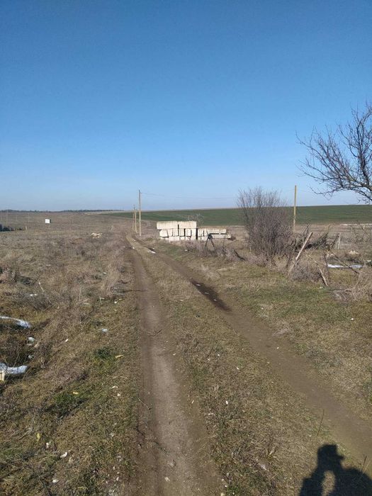 Светлое дачи, участки от 6 соток, документы по интересным ценам.