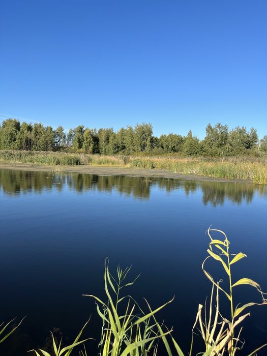 Кийлів. Земельна ділянка 20 соток. Вихід до Дніпра!