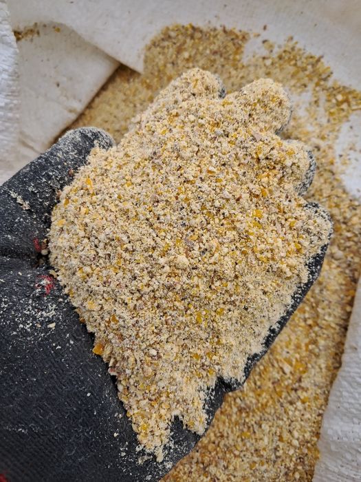 Kukurydza śrutowana sucha