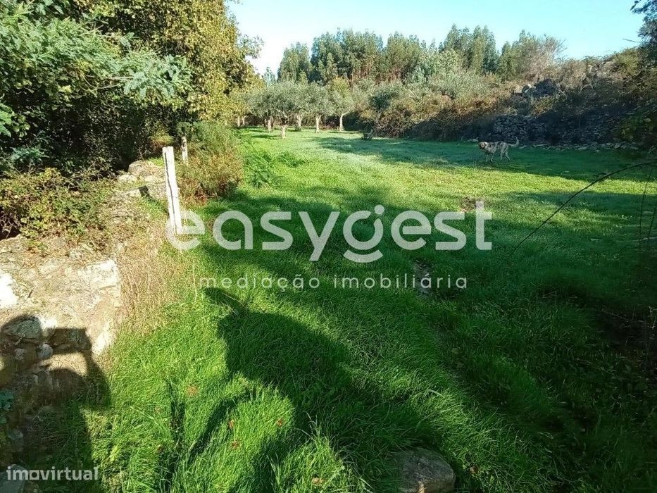 Terreno Rústico com 35000m2 localizado na aldeia de Póvoa Rio Moinhos