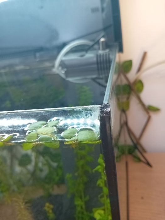 Wymienię akwarium 60L na 90-100L